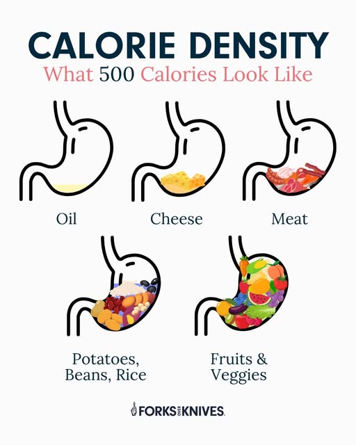 Measure Food by Volume, not weight