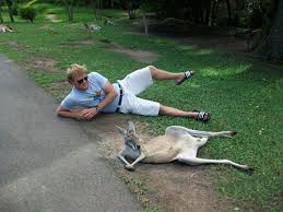 Man with Kangaroo